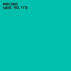 #00C0AD - Caribbean Green Color Image