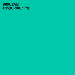 #00C8AB - Caribbean Green Color Image