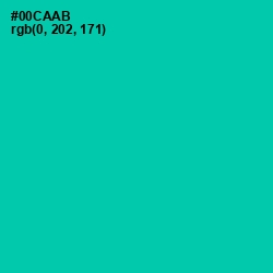 #00CAAB - Caribbean Green Color Image