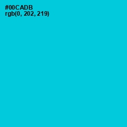 #00CADB - Robin's Egg Blue Color Image