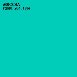 #00CCBA - Caribbean Green Color Image