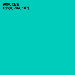 #00CCBB - Caribbean Green Color Image