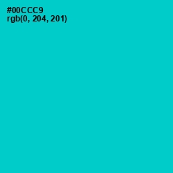 #00CCC9 - Robin's Egg Blue Color Image