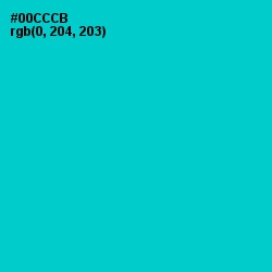 #00CCCB - Robin's Egg Blue Color Image