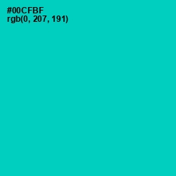 #00CFBF - Caribbean Green Color Image