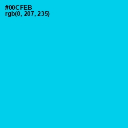#00CFEB - Bright Turquoise Color Image