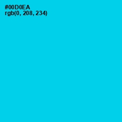 #00D0EA - Bright Turquoise Color Image