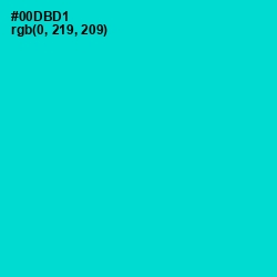 #00DBD1 - Robin's Egg Blue Color Image