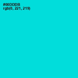 #00DDDB - Robin's Egg Blue Color Image