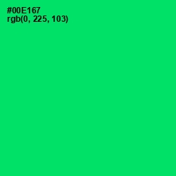 #00E167 - Spring Green Color Image