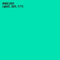 #00E2B1 - Caribbean Green Color Image