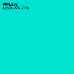 #00E2D2 - Bright Turquoise Color Image