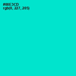 #00E3CD - Bright Turquoise Color Image