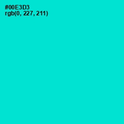 #00E3D3 - Bright Turquoise Color Image