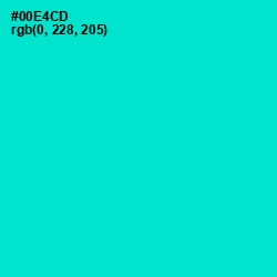 #00E4CD - Bright Turquoise Color Image