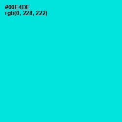 #00E4DE - Bright Turquoise Color Image