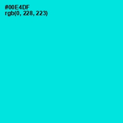 #00E4DF - Bright Turquoise Color Image