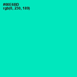 #00E6BD - Caribbean Green Color Image