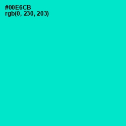 #00E6CB - Bright Turquoise Color Image