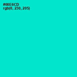 #00E6CD - Bright Turquoise Color Image