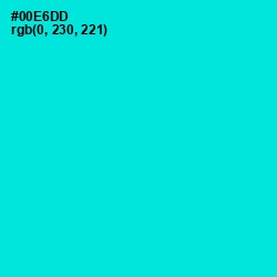 #00E6DD - Bright Turquoise Color Image