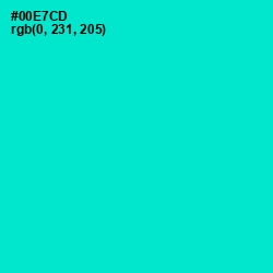 #00E7CD - Bright Turquoise Color Image