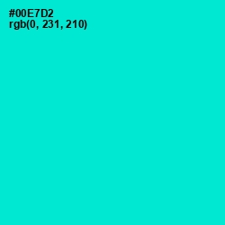 #00E7D2 - Bright Turquoise Color Image