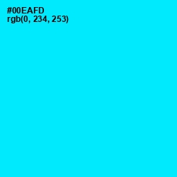 #00EAFD - Cyan / Aqua Color Image