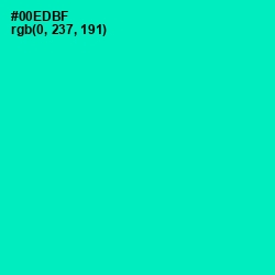 #00EDBF - Caribbean Green Color Image