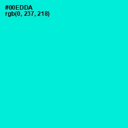 #00EDDA - Bright Turquoise Color Image