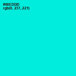 #00EDDD - Bright Turquoise Color Image