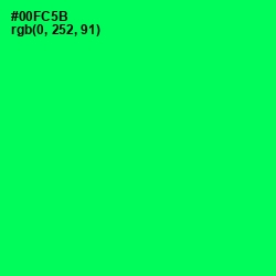 #00FC5B - Spring Green Color Image