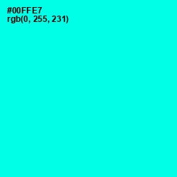 #00FFE7 - Cyan / Aqua Color Image