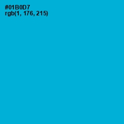 #01B0D7 - Cerulean Color Image