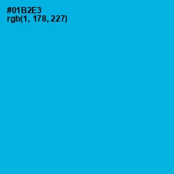 #01B2E3 - Cerulean Color Image