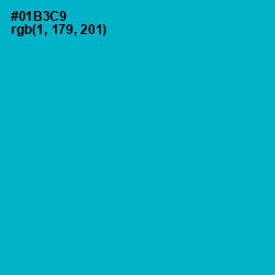 #01B3C9 - Cerulean Color Image