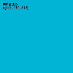 #01B3D5 - Cerulean Color Image