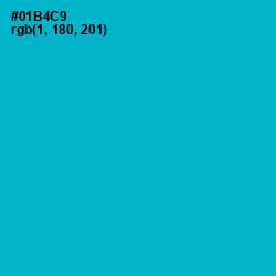 #01B4C9 - Cerulean Color Image