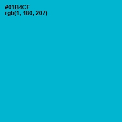 #01B4CF - Cerulean Color Image