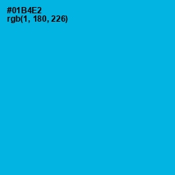 #01B4E2 - Cerulean Color Image