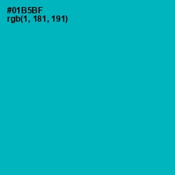 #01B5BF - Bondi Blue Color Image