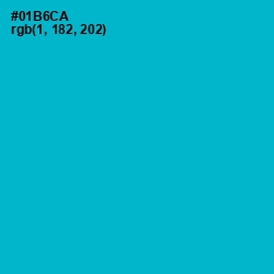 #01B6CA - Cerulean Color Image