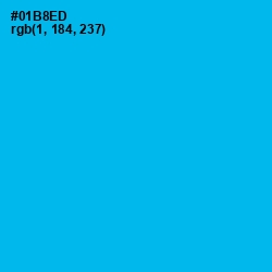 #01B8ED - Cerulean Color Image