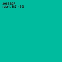 #01BB9F - Persian Green Color Image