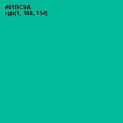 #01BC9A - Persian Green Color Image