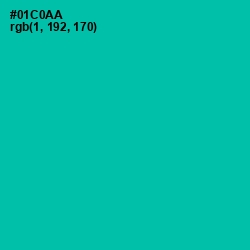 #01C0AA - Caribbean Green Color Image