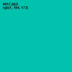 #01C2AD - Caribbean Green Color Image