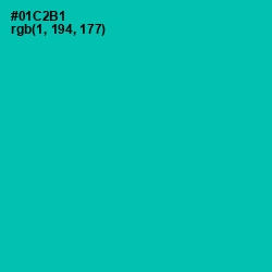 #01C2B1 - Caribbean Green Color Image