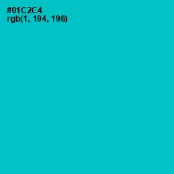 #01C2C4 - Robin's Egg Blue Color Image