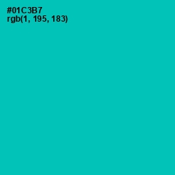 #01C3B7 - Caribbean Green Color Image